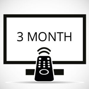 3 MONTHS